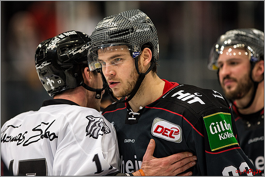 DEL, Koelner Haie - Nuernberg Ice Tiger, 24.01.2017